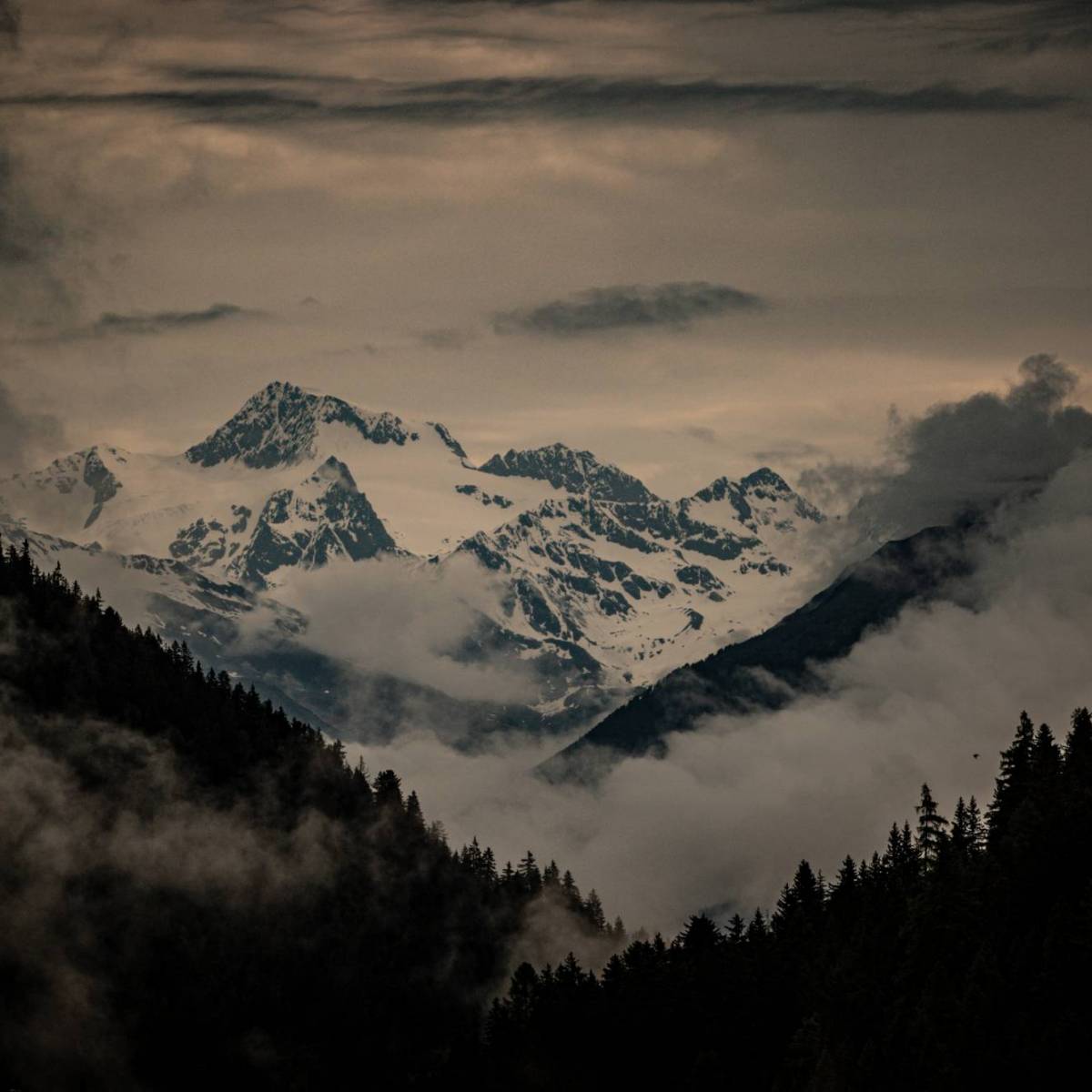 Route pagina voor The Ride 2025