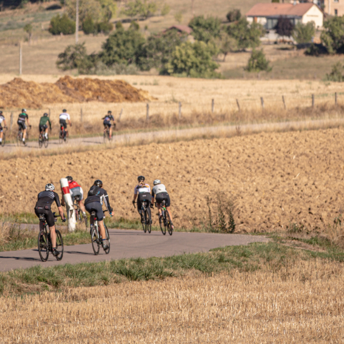 De route van Tour for Life.