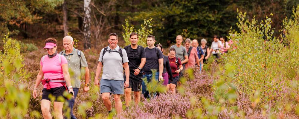 Blije wandelaars tussen paarse heide tijdens het Pink Ribbon Soester Wandelweekend