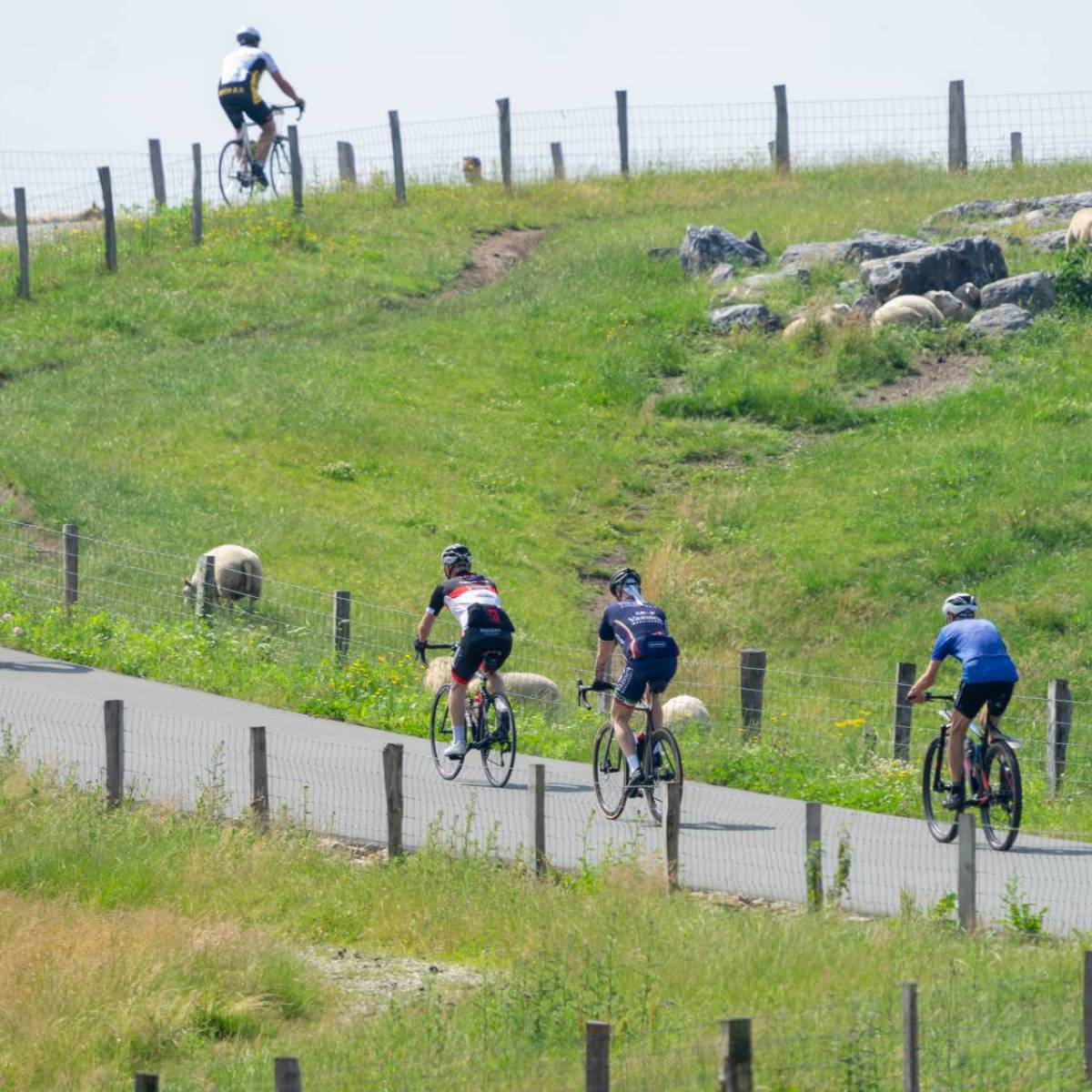 Beklimming van de VAM-Berg