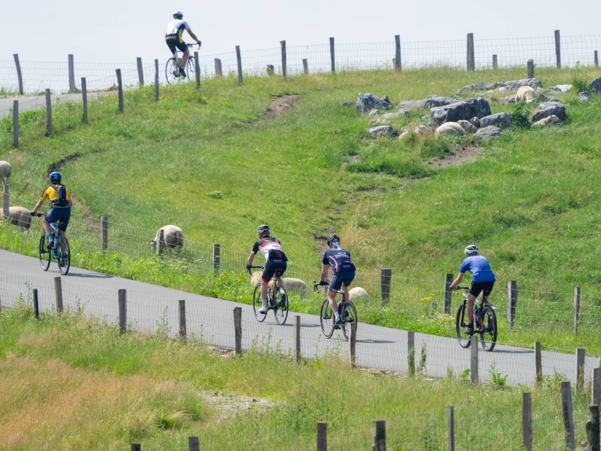 Beklimming van de VAM-Berg